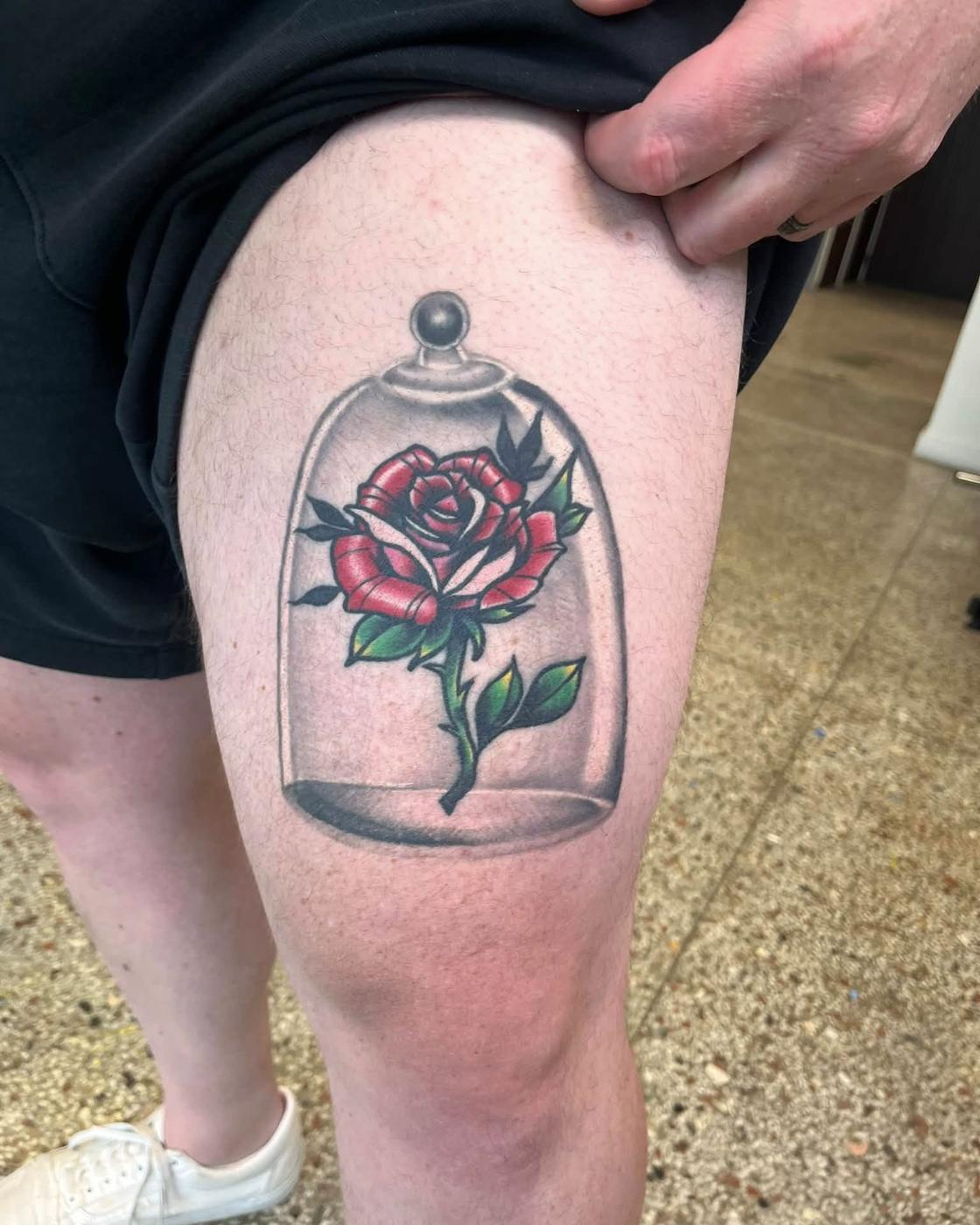 A red rose under a glass bell jar, in color, on a thigh.